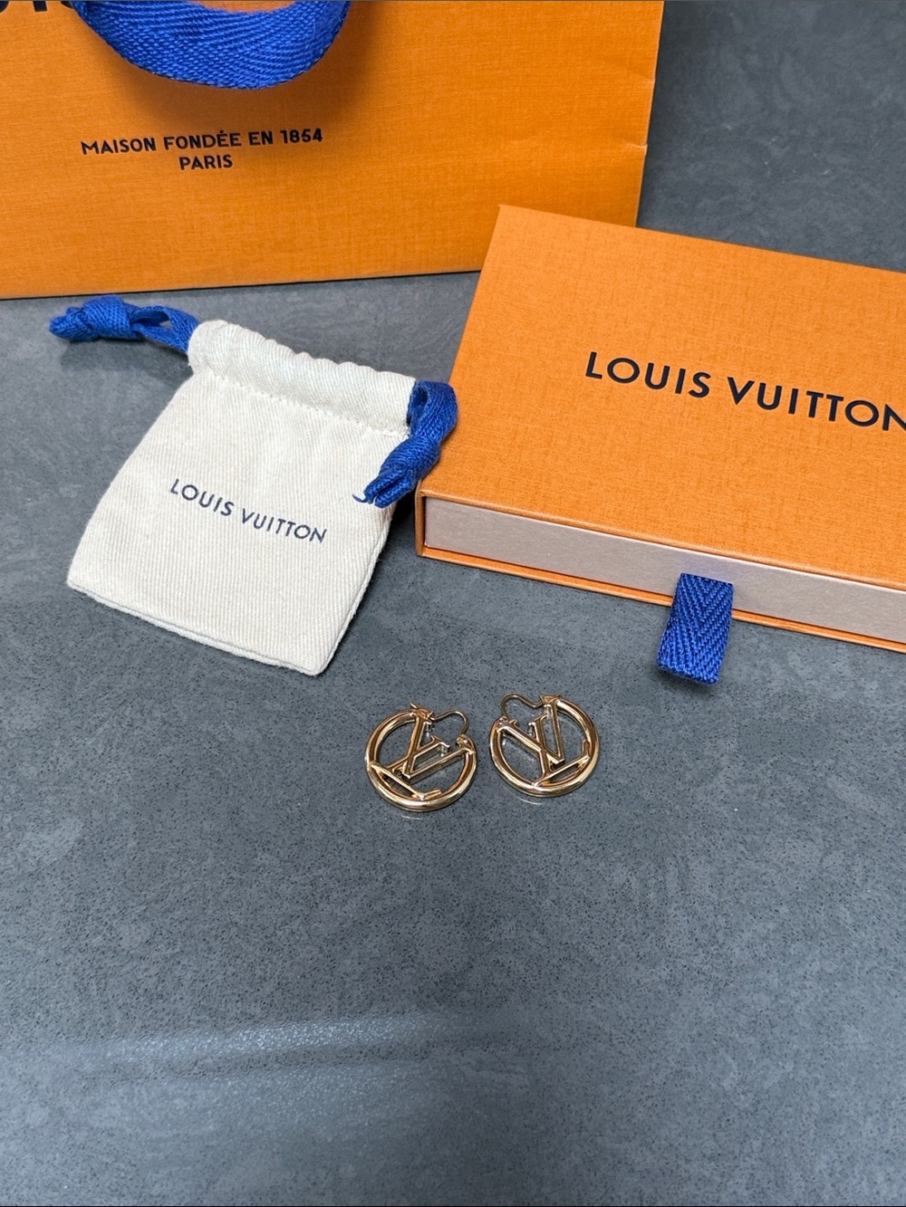 LV Louise PM Earrings Full Set with COA